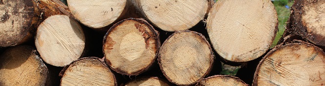 Hout weetjes